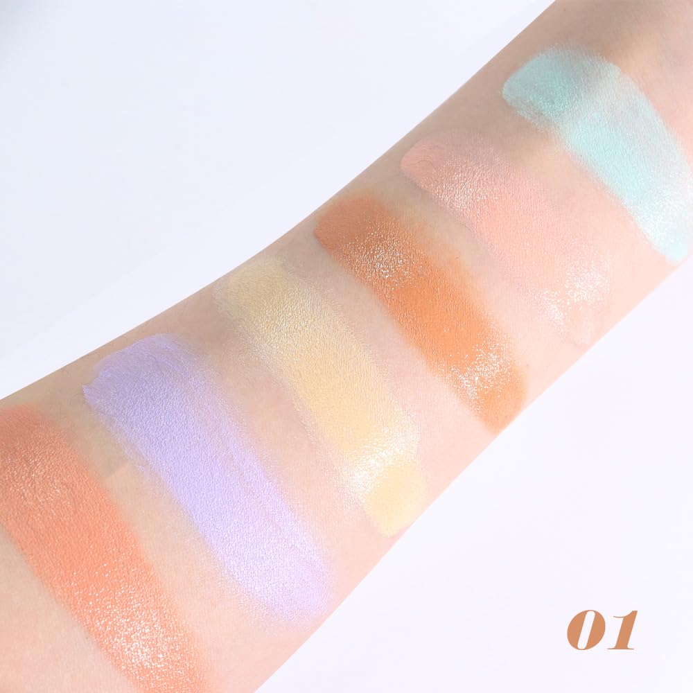 6-Color Concealer Palette